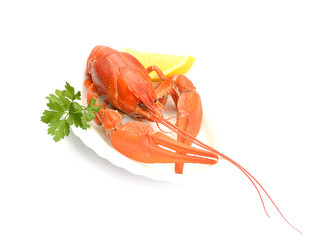 Red boiled crayfish or crawfish with lemon and herbs on stone slate dark background. Lobster closeup