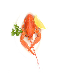 Red boiled crayfish or crawfish with lemon and herbs on stone slate dark background. Lobster closeup