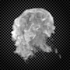 Fog, Smoke, Vape, Isolated Transparent Special Effect. White Vector Cloudiness, Mist or Smog Background. Vector Illustration