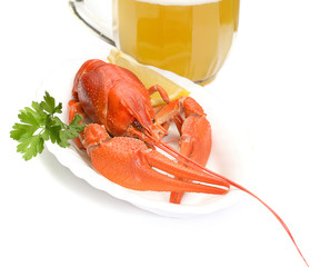 Red boiled crayfish or crawfish with lemon and herbs on stone slate dark background. Lobster closeup