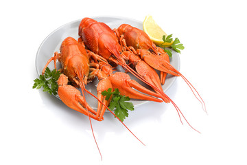 Red boiled crayfish or crawfish with lemon and herbs on stone slate dark background. Lobster closeup