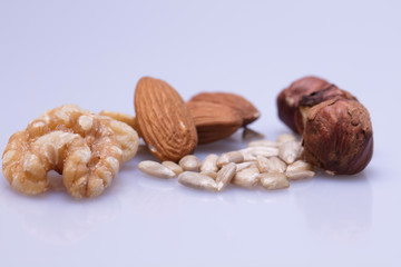 Nussmischung mit Hasselnuss Sonnenblumenkern Walnuss Mandel