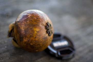 PURPLE MANGOSTEEN - BALI EXOTIC FRUIT 01