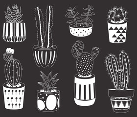 Chalkboard Cactus Collections