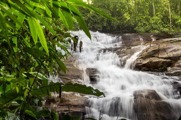 waterfall forest stones stream jungle