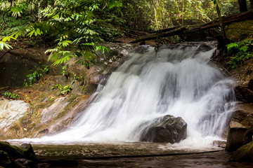 waterfall forest stones stream jungle