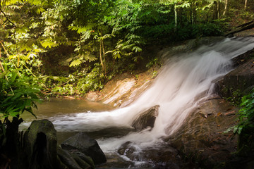 Obraz premium waterfall forest stones stream jungle