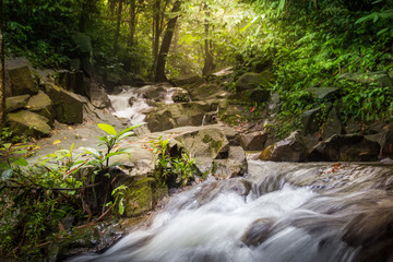 Naklejka na ściany i meble waterfall forest stones stream jungle