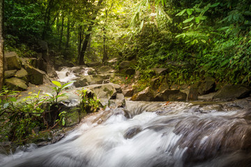 waterfall forest stones stream jungle