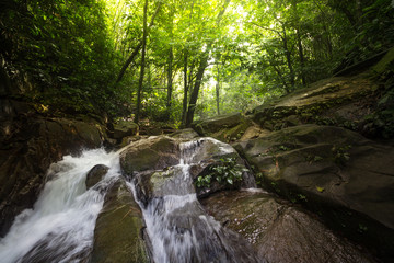 waterfall forest stones stream jungle