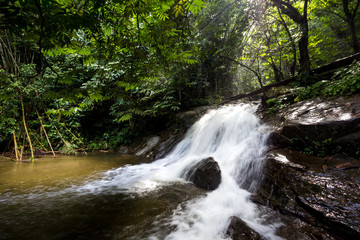 waterfall forest stones stream jungle