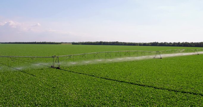 System sprinkler irrigation for agriculture, aerial shot