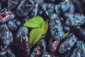 Fresh honeysuckle blue berry fruits with leaf on a wooden background