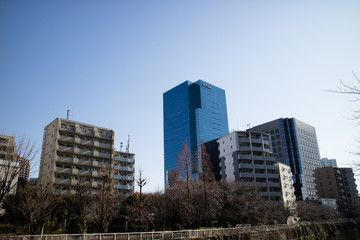 笑顔が素敵な日本女性