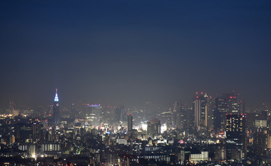 Fototapeta na wymiar 日本の東京都市景観・夜景「新宿区方面などを望む」