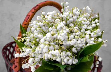 Gartenposter Blumen und Pflanzen Strauß weißer kleiner Blumen im Korb