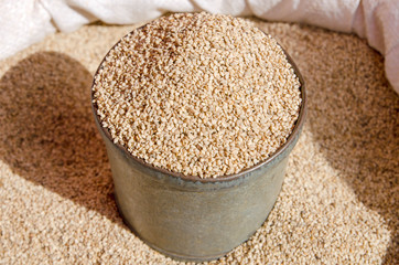 Organic natural brown sesame seeds background