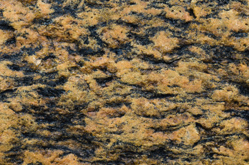 Heterogeneous texture of natural stone orange.