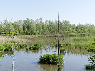 Obraz premium lake of porta in tuscany
