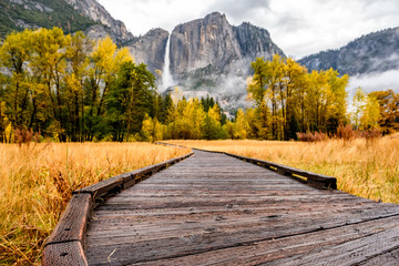 Meadow with boardwalk in Yosemite National Park Valley at autumn - obrazy, fototapety, plakaty