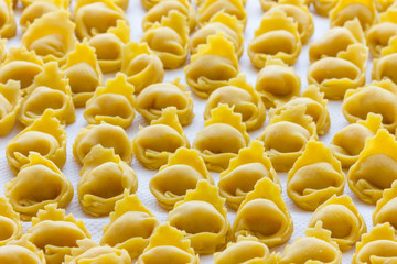 Tortellini in Bologna Italy