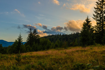 Naklejka na ściany i meble Ukrainian carpathian mountains landscape during the sunset