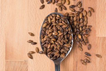 Barley