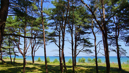 Ostseeküste Baabe 2