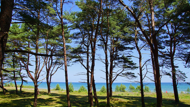 Ostseek&uuml;ste Baabe 2