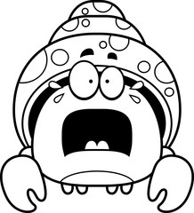 Scared Little Hermit Crab