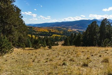 Colorado Views