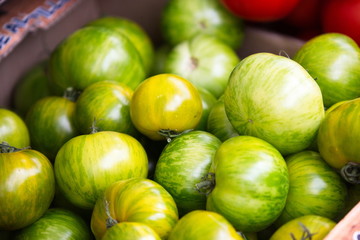 Pomodori verdi