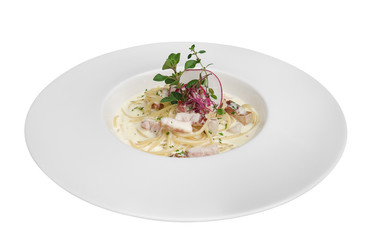 Italian pasta spaghetti carbonara with bacon in ceramic plate isolated on white background, clipping path included