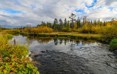 View little forest river in autumn. Sunny day. ZHemchuzhnaya river, Apatity, Murmansk region, Kola Peninsula, Russia.