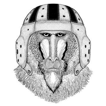 Monkey, baboon, dog-ape, ape Wild animal wearing rugby helmet Sport illustration