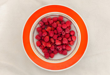 raspberry full plate