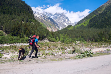 Fototapeta na wymiar Man traveler with big dog walks on the road in a mountain gorge
