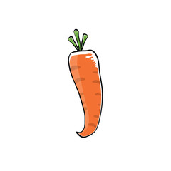 vector cartoon cute orange carrot