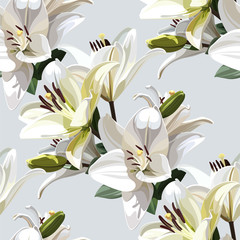 White Flowers of Lily (Madonna Lily). Seamless floral pattern on light background.