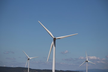 éolienne dans le vent