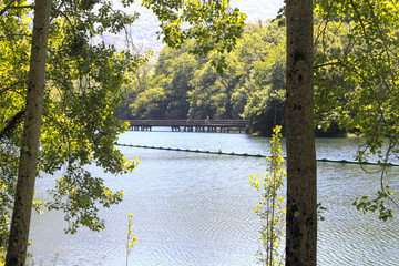 two black poplars and a bridge over a lake near the mountains