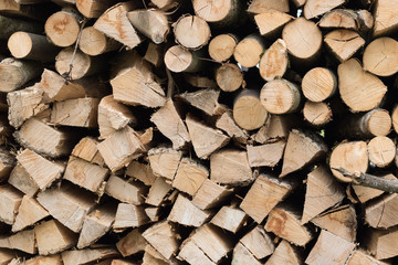 Brennholz
