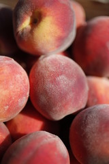 Peaches for sale at the farmers market 