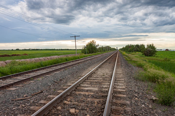 Fototapeta na wymiar Two Pairs of Tracks Leading to Cloudy Sky