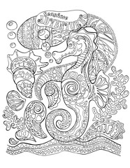 Seahorse and sea shells adult coloring page. Sea horse vector coloring book cover.