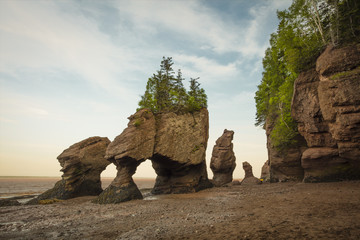 Hopewell Rocks