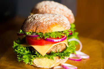 Food. burger, dark background