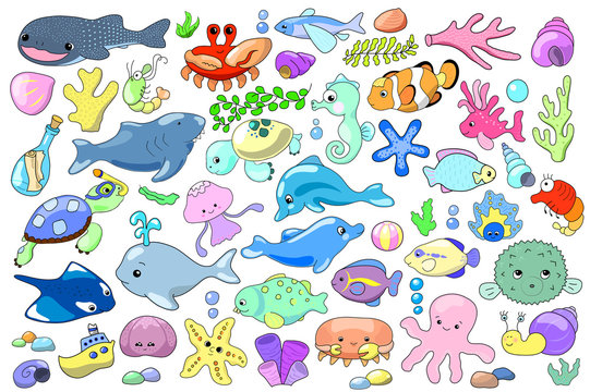 Sea animal and fish cartoon vector illustration. Marine animals clipart.