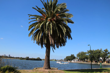Albert Park-Melbourne 