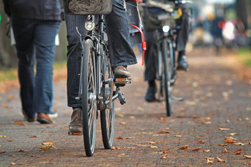 herbstlicher Radweg